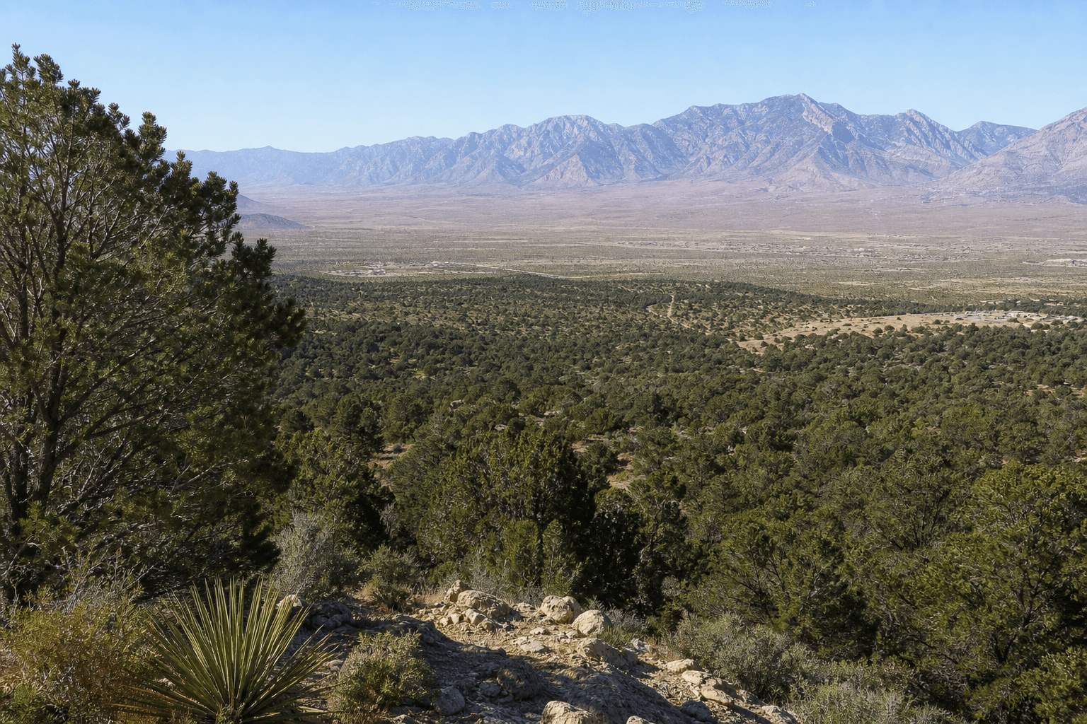 Lovell Canyon land FAQ — raw land parcels APN 135-31-801-006 and 007, access, taxes, and inquiries in Clark County NV 89120