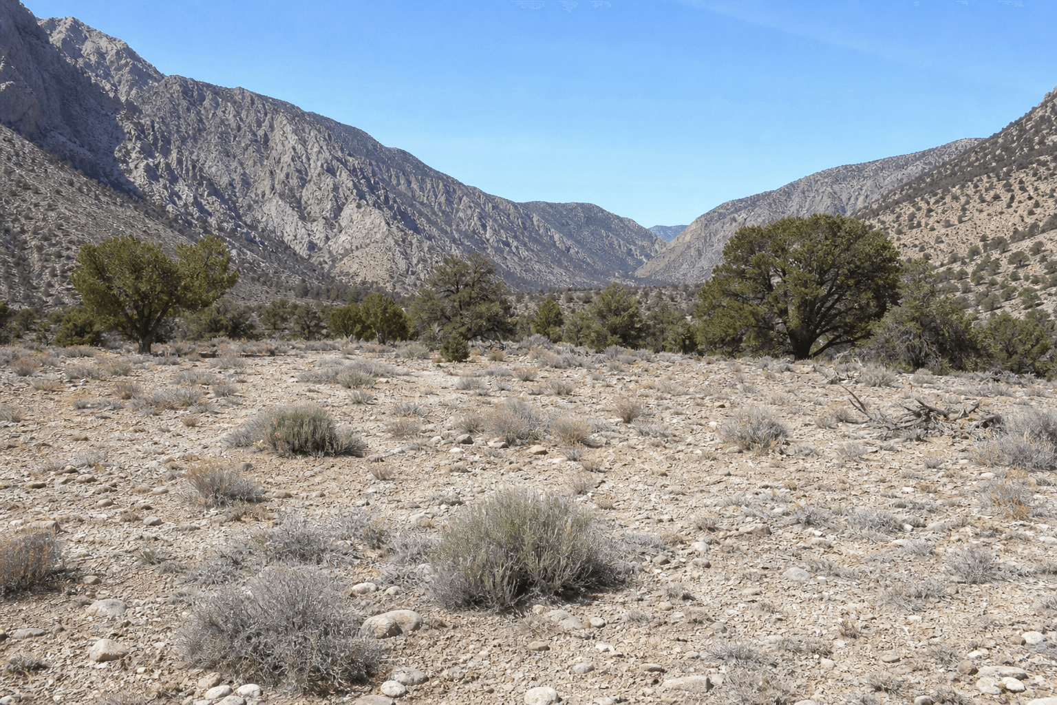Lovell Canyon Lot 2 raw land Clark County NV 89120 — APN 135-31-801-006, Section 31 T20S R57E