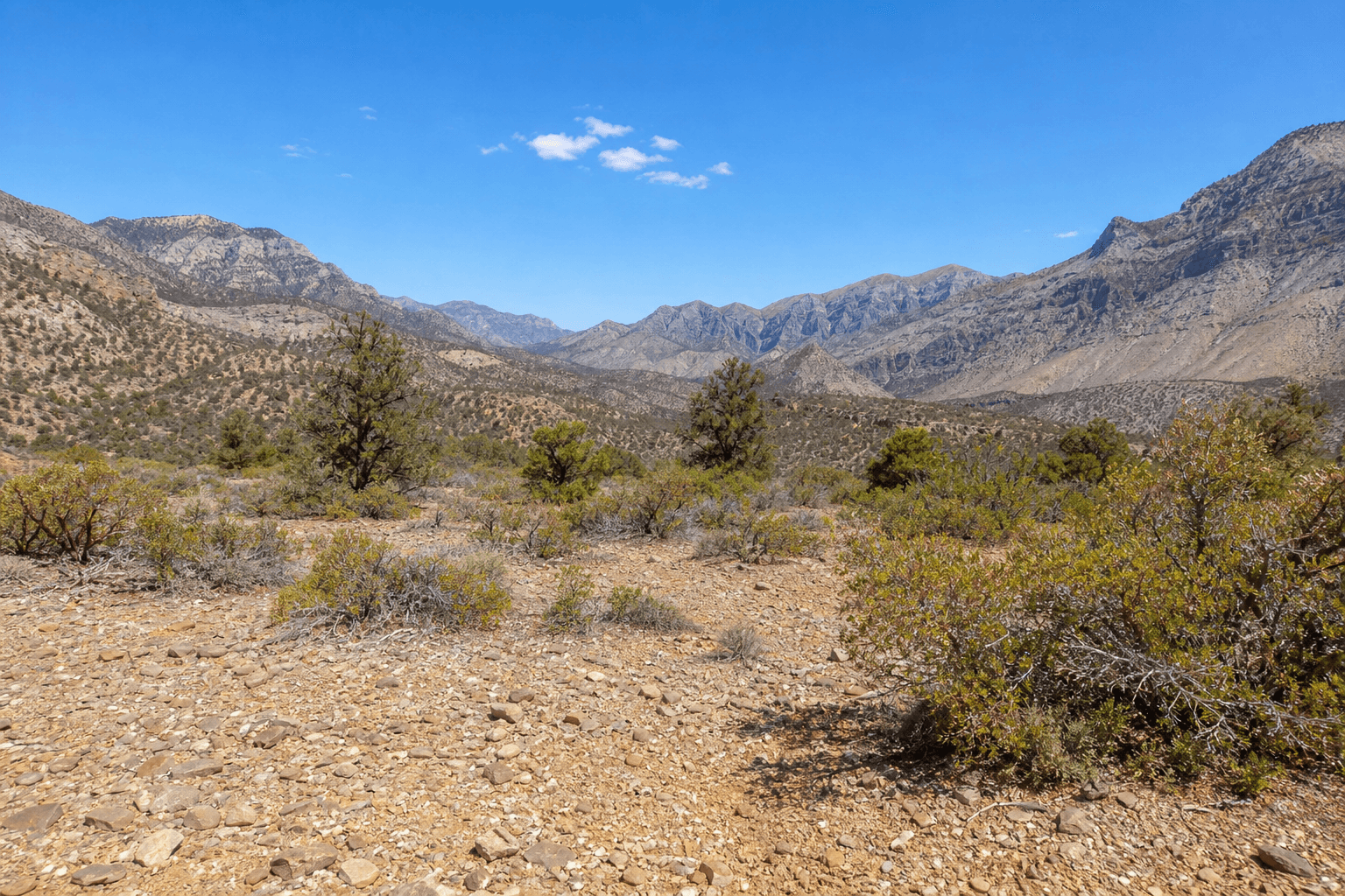 Lovell Canyon Lot 3 raw land Clark County NV 89120 — APN 135-31-801-007, Section 31 T20S R57E
