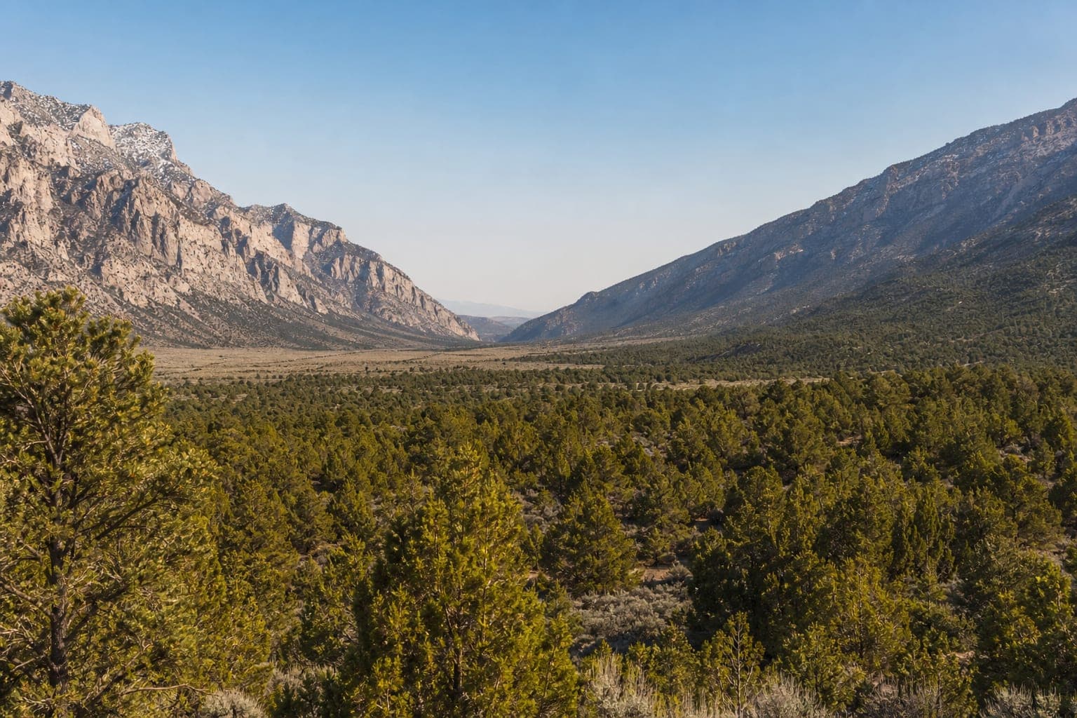 Lovell Canyon land title report — fee simple Schedule A legal descriptions, APN 135-31-801-006 and 007, Clark County NV 89124