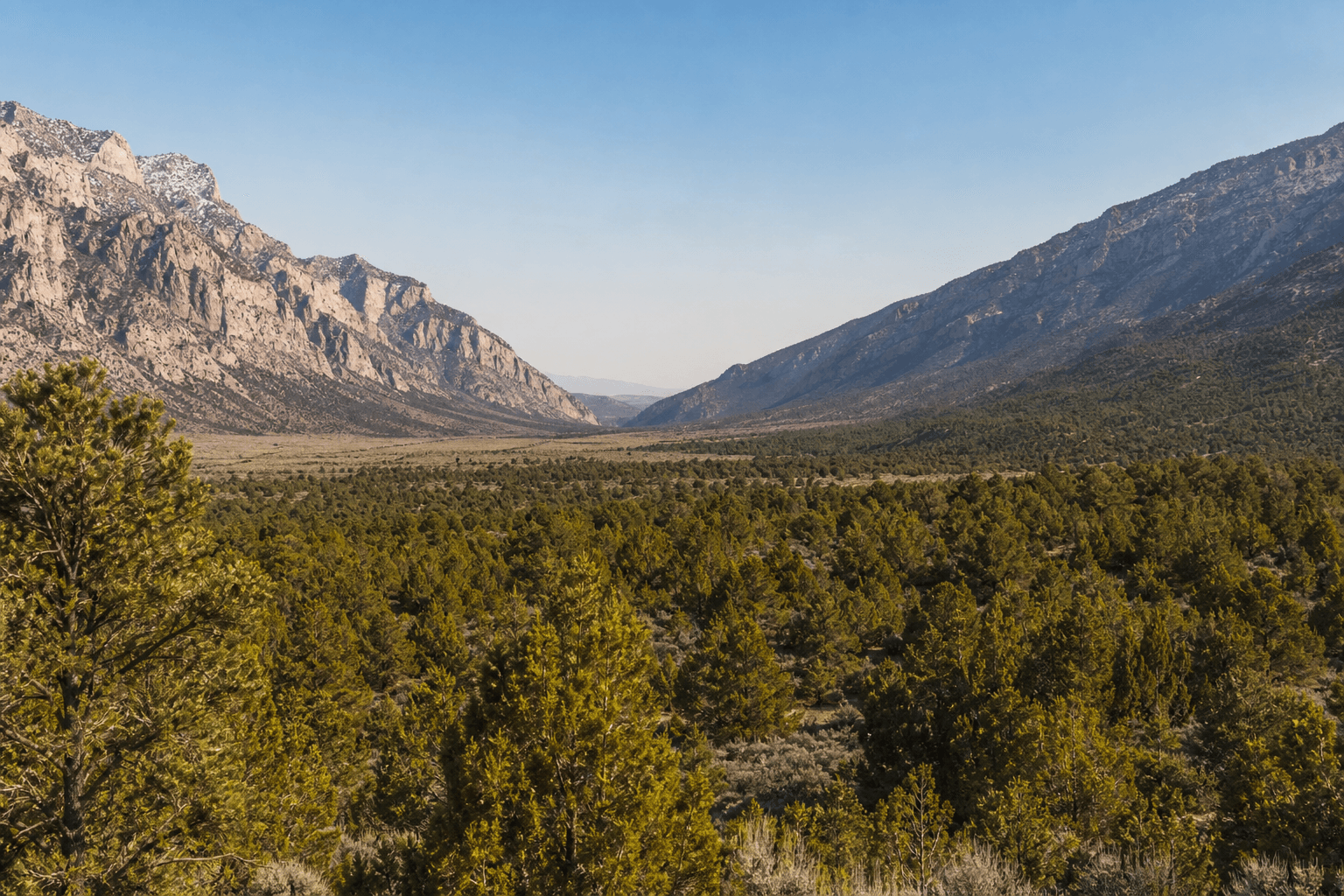 Lovell Canyon land title report — fee simple Schedule A legal descriptions, APN 135-31-801-006 and 007, Clark County NV 89120